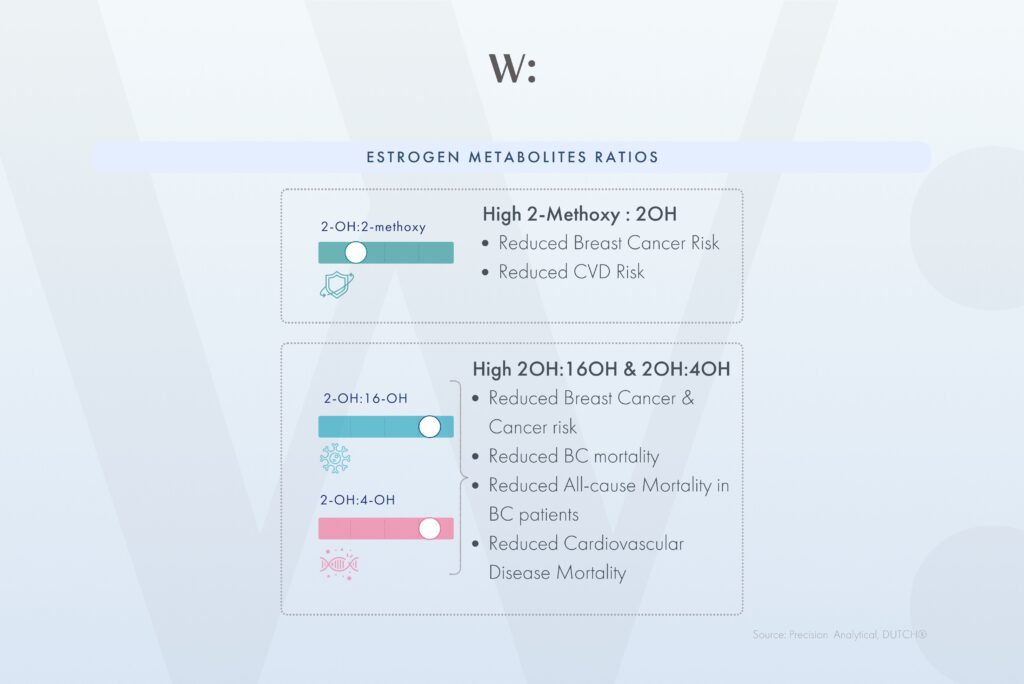 DUTCH Testing for Breast Cancer Prevention: A Functional Medicine Approach with Willbe.