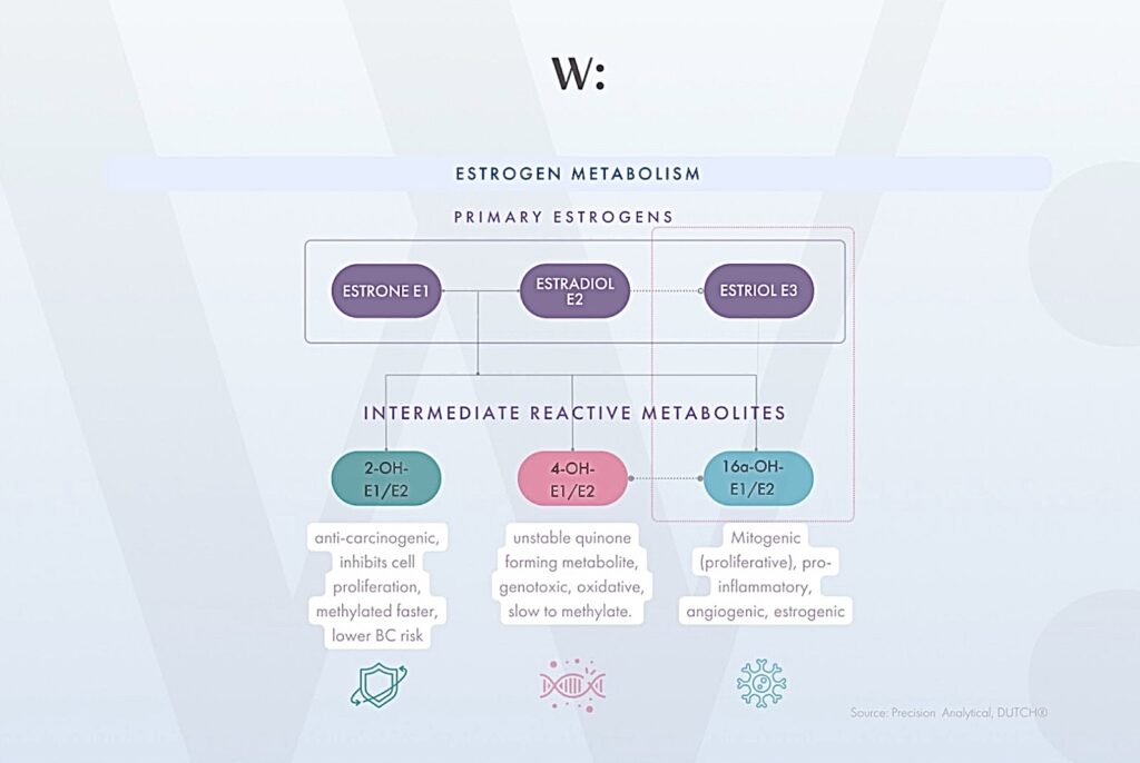 DUTCH Testing for Breast Cancer Prevention: A Functional Medicine Approach with Willbe.